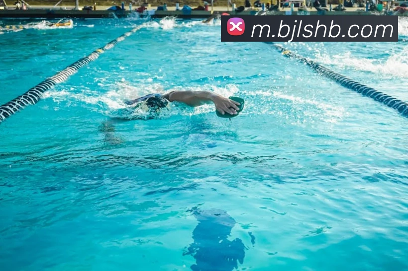 百家乐网站全站App